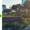 « Écologie rationnelle » pour combiner l'esprit critique et l'écologie