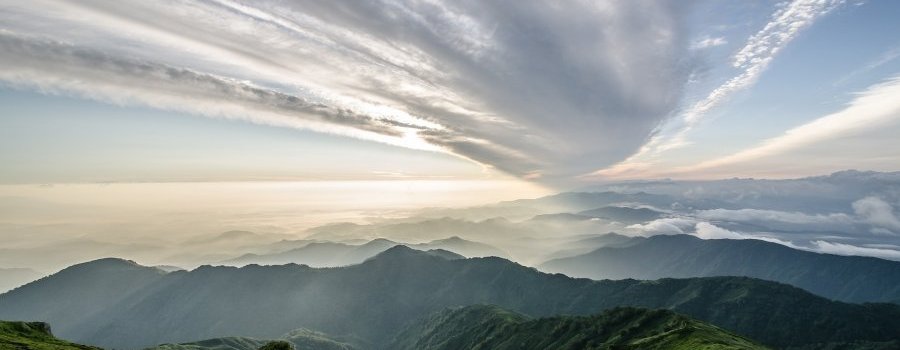 Fukushima : les conséquences environnementales