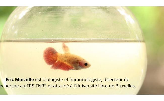 [Conférence en ligne - Mardi 20 janvier 2026 à 20h00] L'expérimentation animale en question