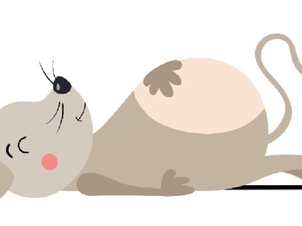 Comment des souris amnésiques retrouvent la mémoire