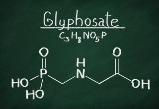 Toxicocinétique et glyphosate