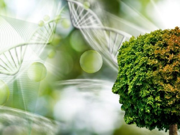 Maladies neurodégénératives : comment expliquer notre impuissance ?