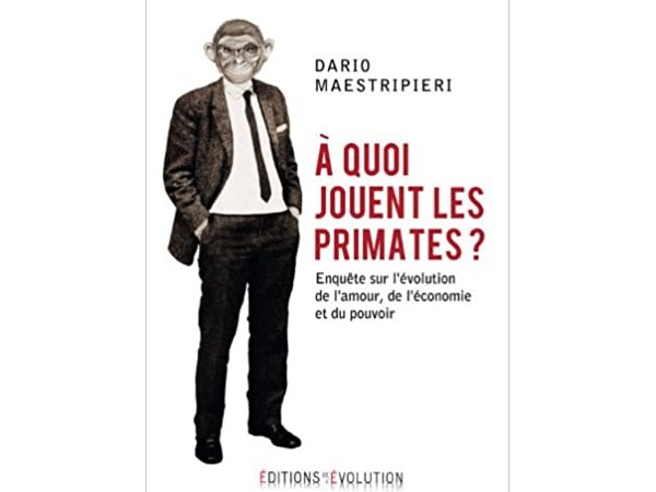 À quoi jouent les primates ? 