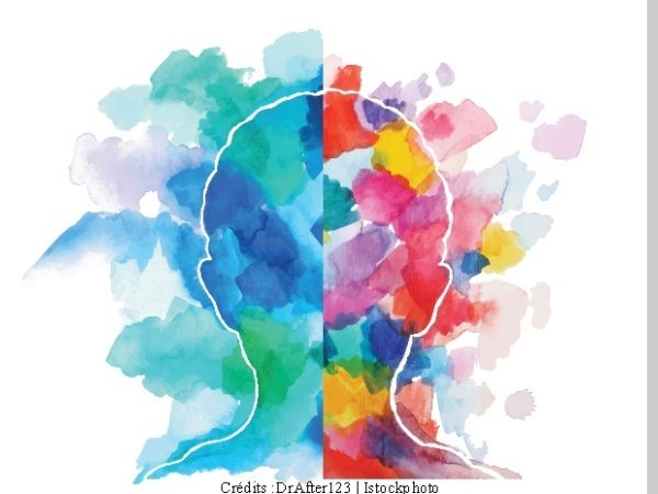 Cerveau gauche et cerveau droit : la neurologie face au mythe