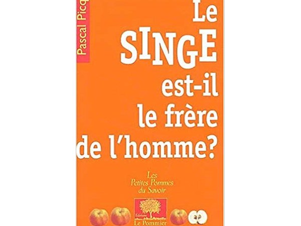 Le singe est-il le frère de l'homme ?