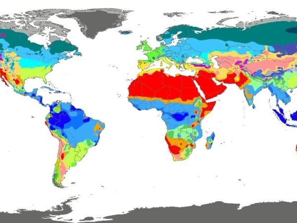 Climat : ce que dit la science, ce qu'elle ne dicte pas