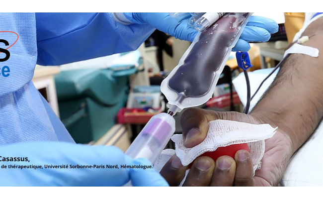 [Conférence en ligne - Mardi 25 février 2025 à 20h00] Les transfusions sanguines : quand les prescrire ? Que craindre ?