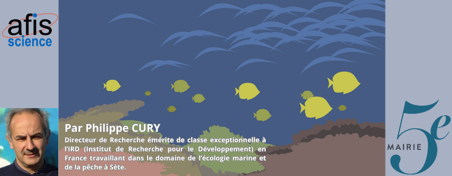 Vidéo - Conférence Tempête sur les écosystèmes marins