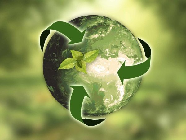 Biodiversité : L'écologie est-elle encore scientifique ?