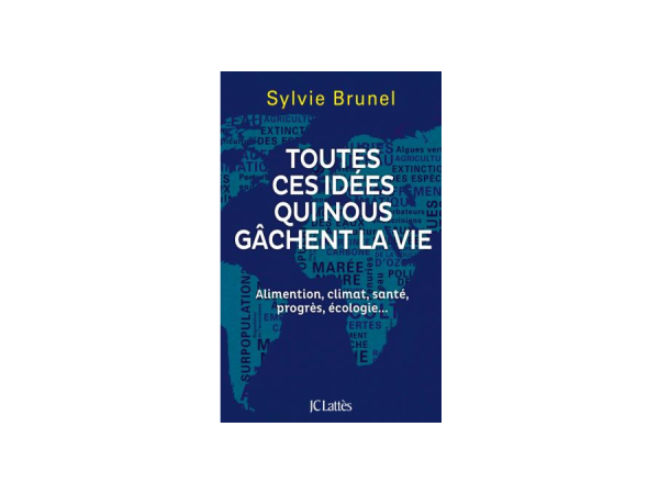 Toutes ces idées qui nous gâchent la vie