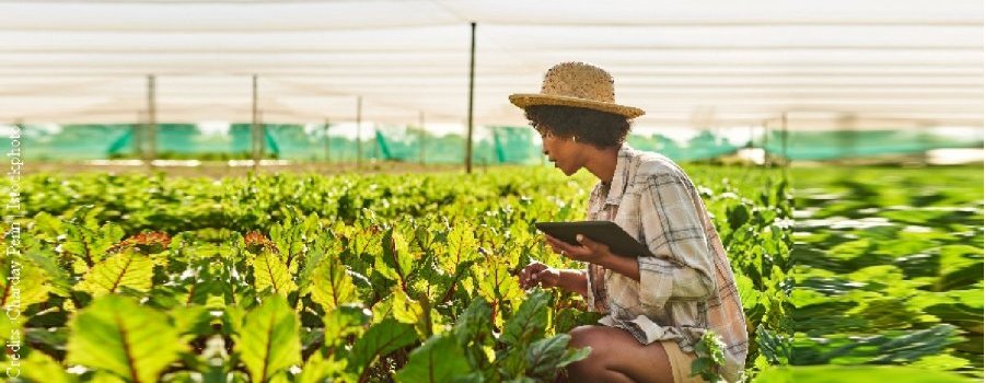 Quinze ans de sabotage de la recherche en biotechnologies : laissons travailler les chercheurs français !