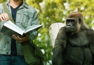 Sexe et genre vus par un primatologue