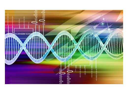 L'hormesis ou l'effet bénéfique des faibles doses