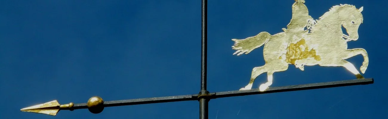 Le protocole thérapeutique à géométrie variable du P<sup>r</sup> Raoult