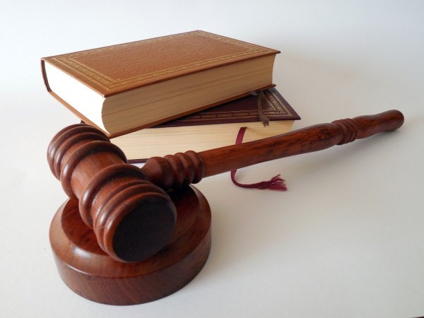 Le sens commun, les parades d'identification des criminels et les erreurs judiciaires