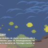 Vidéo - Conférence Tempête sur les écosystèmes marins