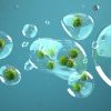Covid-19 : une transmission par aérosols ?
