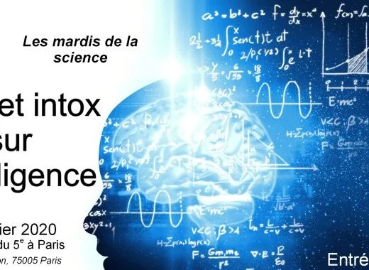 Vidéo : Infos et Intox sur l'intelligence