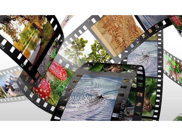 Regards croisés sur les documentaires