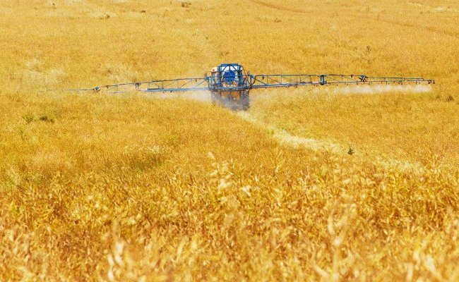 Le glyphosate est-il cancérogène ?
