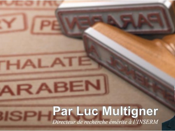 [Paris - Jeudi 22 mai 2025 à 19h00] Perturbateurs endocriniens, mythes et réalités