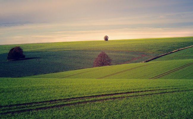 Plan Écophyto : l'idéologie au pouvoir ?