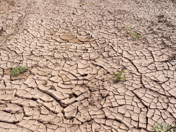 Les sécheresses vont-elles devenir plus fréquentes en France ?