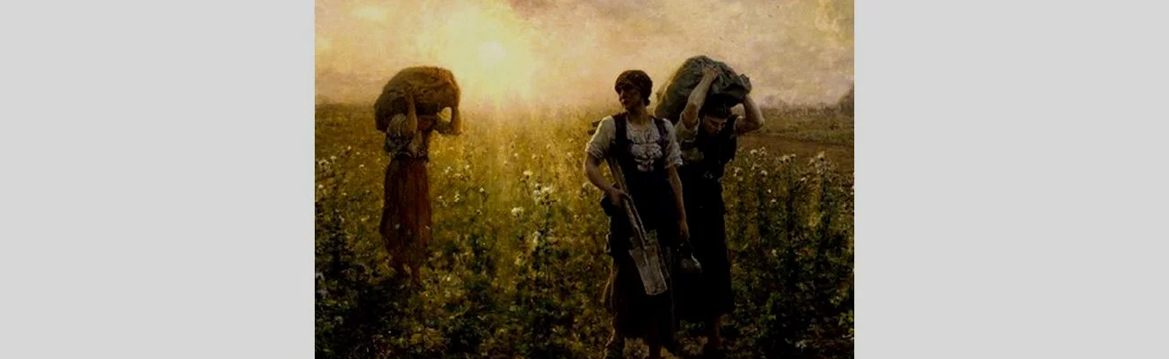 La protection des cultures : était-ce vraiment mieux avant ?