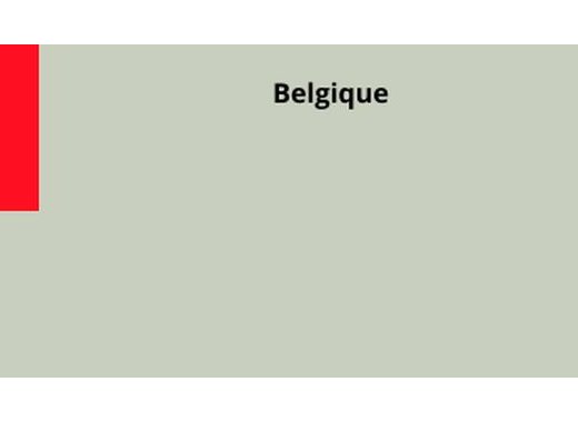 SKEPP (Belgique)