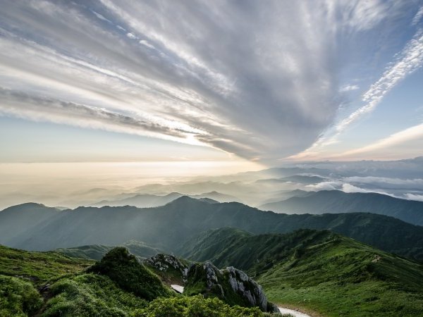 Fukushima : les conséquences environnementales