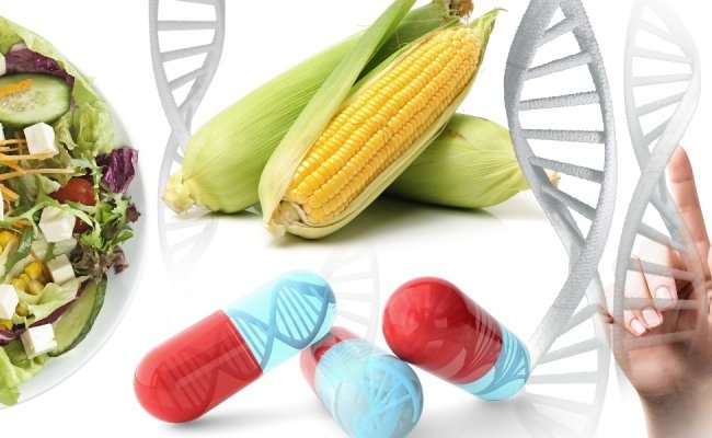 OGM, pesticides, homéopathie : science ou idéologie