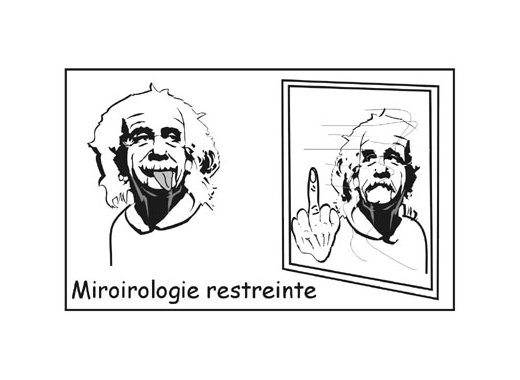 La Miroirologie