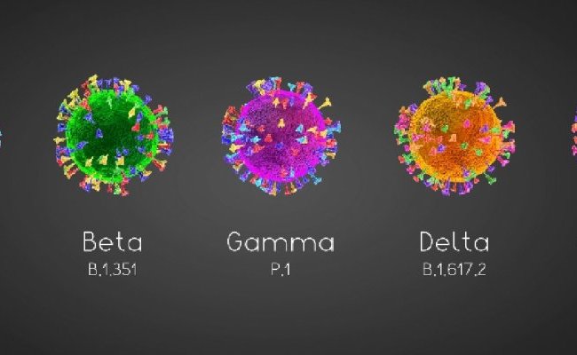 La vaccination favorise-t-elle l'apparition de variants ?