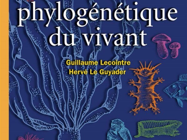 Classification phylogénétique du vivant