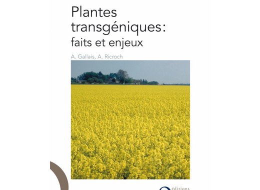Plantes transgéniques : faits et enjeux