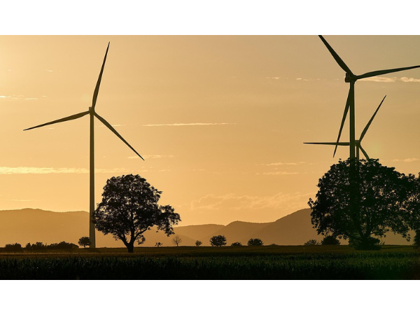 Éoliennes et élevage : la géobiologie, une pseudo-science étrangement invoquée