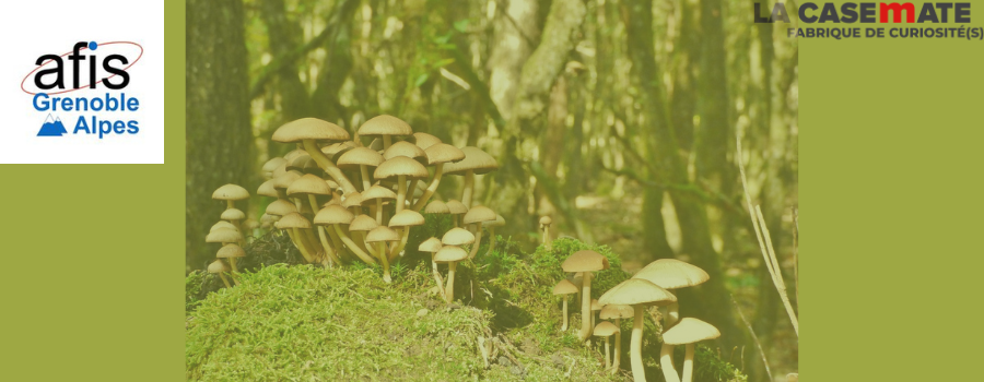 [Grenoble - mardi 14 novembre 2024 de 18h30 à 20h30] Champignons, cultures, territoires et dialectes