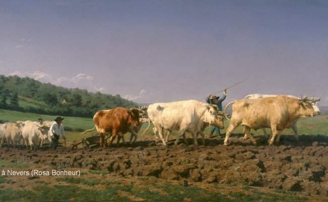 L'agriculture du Lauragais au milieu du XIX<sup>e</sup> siècle