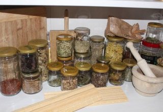 Phytothérapie : la santé par les plantes