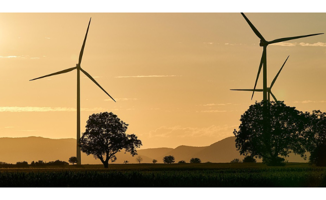 Éoliennes et élevage : la géobiologie, une pseudo-science étrangement invoquée