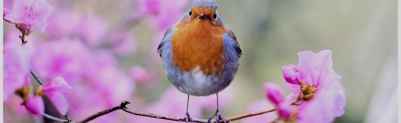 Évaluation mondiale de la biodiversité et des services écosystémiques