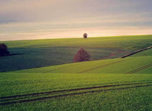 Plan Écophyto : l'idéologie au pouvoir ?
