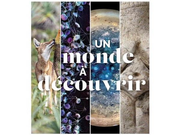 Un monde à découvrir