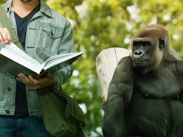 Sexe et genre vus par un primatologue