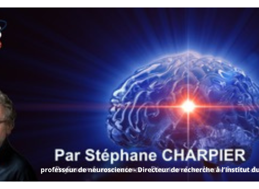 [Paris - jeudi 13 novembre 2025 à 19h00] Expériences de mort imminente : mort de la conscience ou conscience de la mort ?