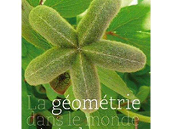 La géométrie dans le monde végétal