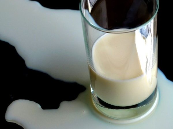 Le calcium du lait est bon pour l'os : une vérité qui dérange !