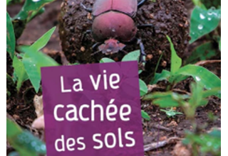 La vie cachée des sols