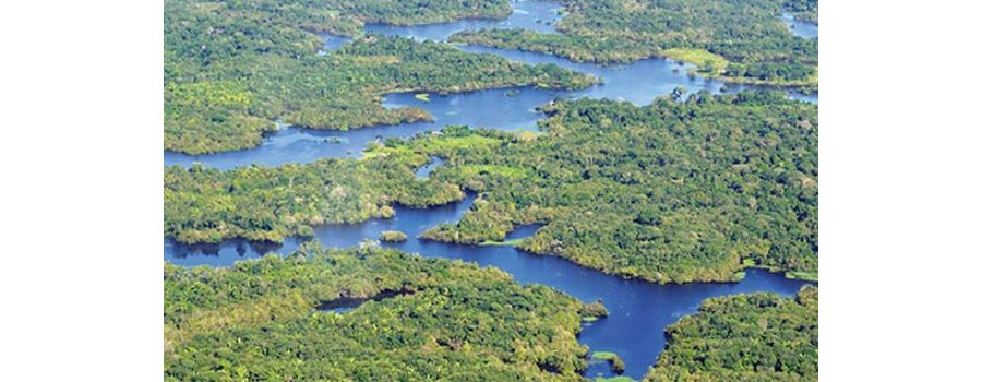 L'Amazonie, le « poumon » de la Terre ?