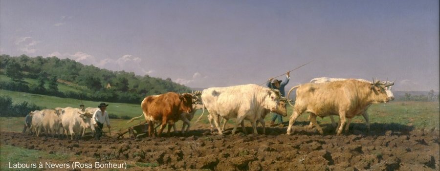 L'agriculture du Lauragais au milieu du XIX<sup>e</sup> siècle